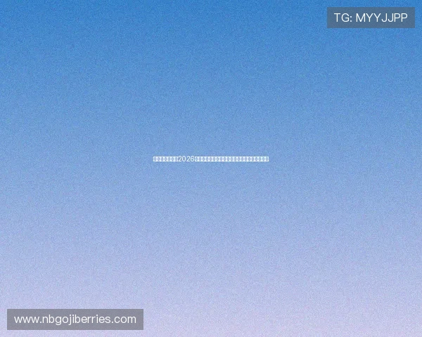 球盟会体育聚焦2026世界杯明星球员表现与未来足球之星的崛起路径 球盟会体育聚焦2026世界杯明星球员表现与未来足球之星的崛起路径